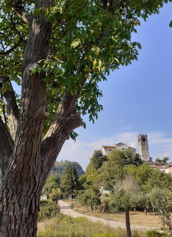 La Locanda Di Nonna Jolanda Apartman Borgo a Mozzano Kültér fotó