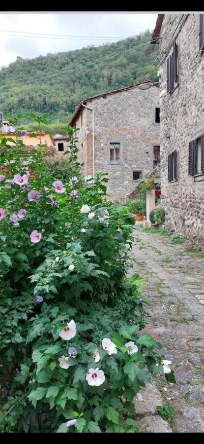 La Locanda Di Nonna Jolanda Apartman Borgo a Mozzano Kültér fotó