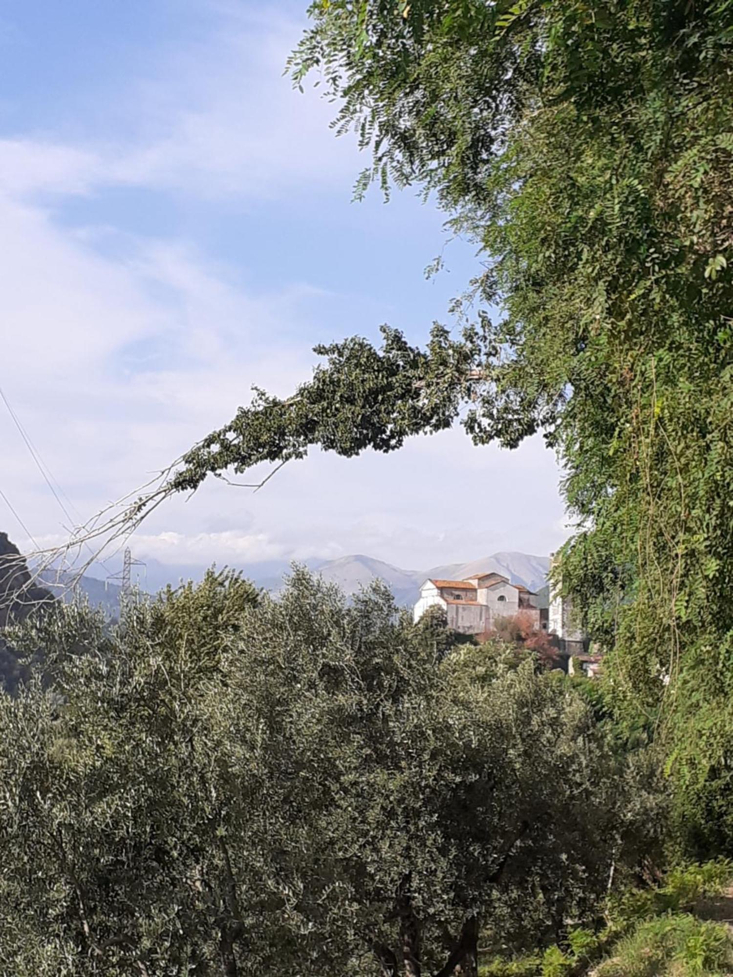 La Locanda Di Nonna Jolanda Apartman Borgo a Mozzano Kültér fotó