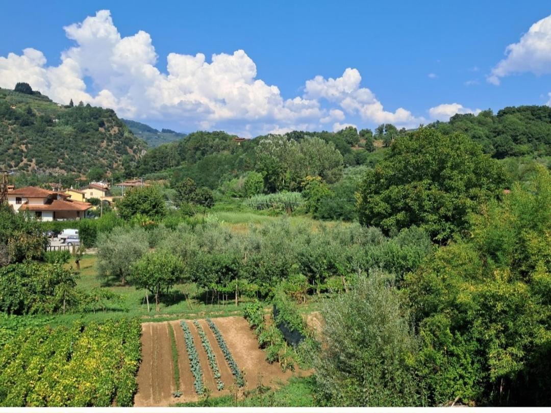 La Locanda Di Nonna Jolanda Apartman Borgo a Mozzano Kültér fotó